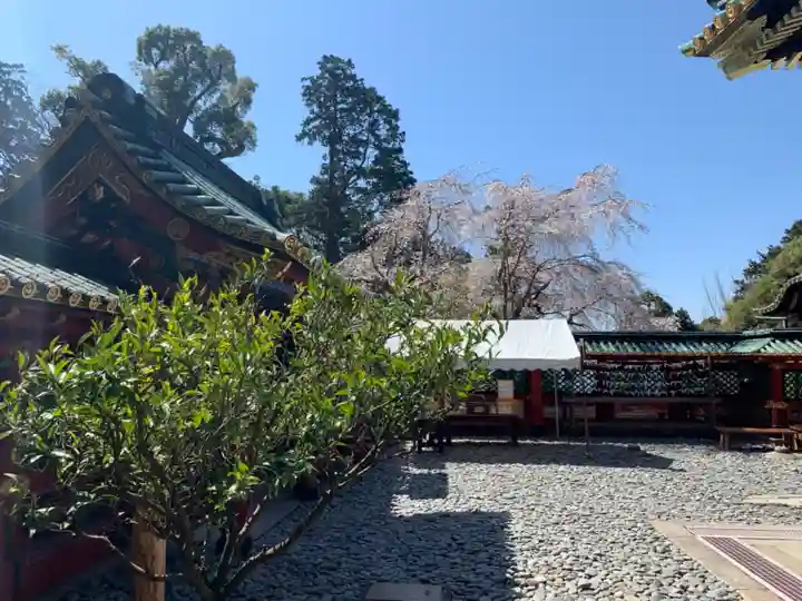 久能山東照宮のその他建物