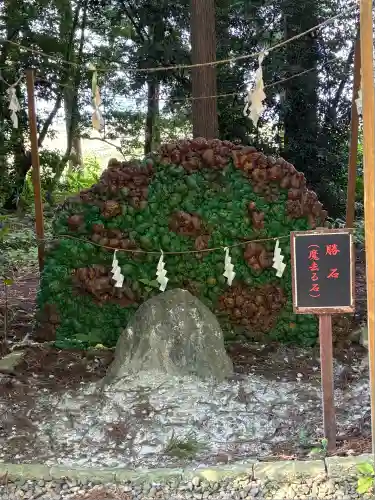 下野 星宮神社(栃木県)
