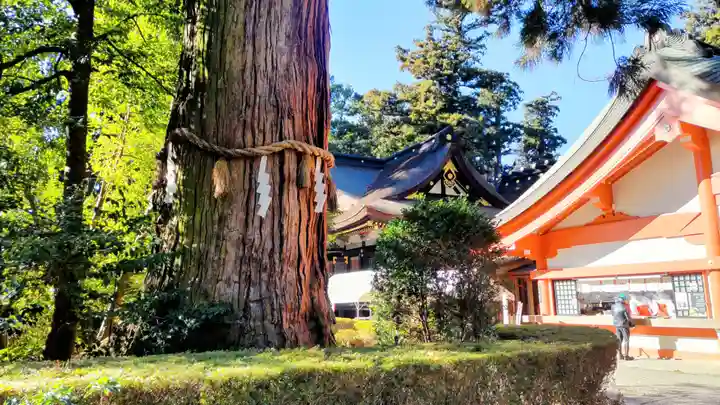 香取神宮(千葉県)