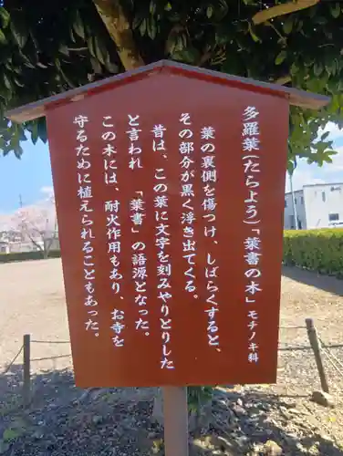 大梅寺(岐阜県)