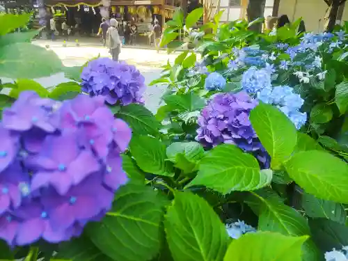 大宝八幡宮(茨城県)