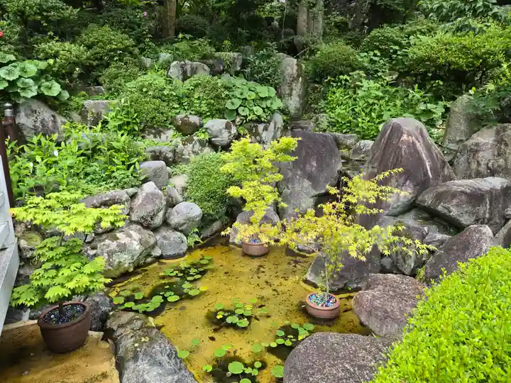 岡寺(龍蓋寺)(奈良県)