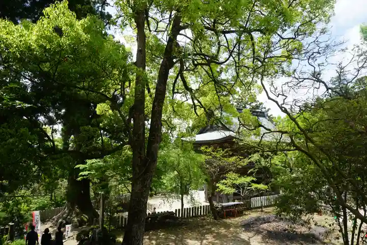 筑波山神社の自然