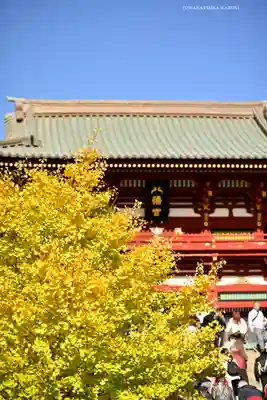 鶴岡八幡宮の本殿・本堂