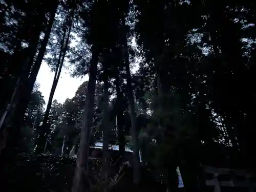 大宮温泉神社の自然