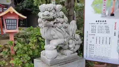 川越八幡宮の狛犬