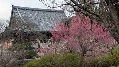  智積院(京都府)