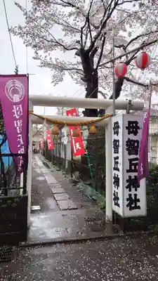 母智丘神社(東京都)