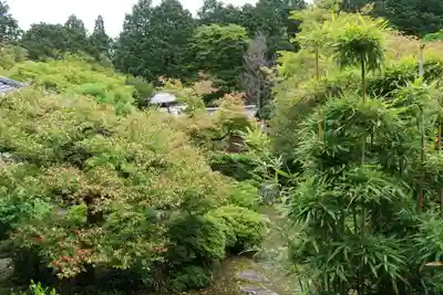 曼殊院門跡(京都府)