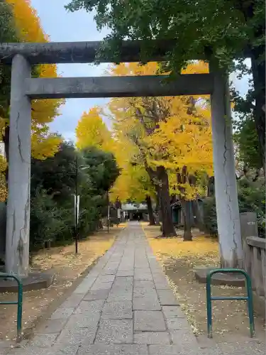 駒込天祖神社(東京都)