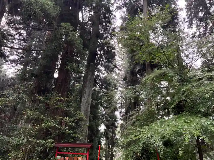 大宮温泉神社(栃木県)