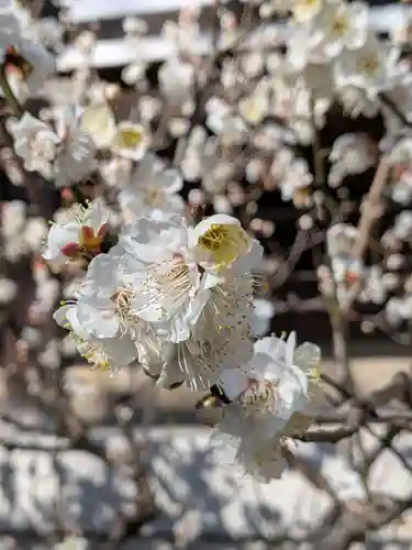 福蔵院(東京都)