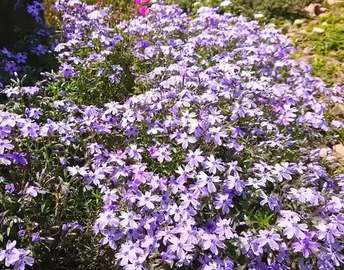 寿量山　速成寺の自然