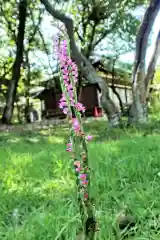 竈山神社の自然