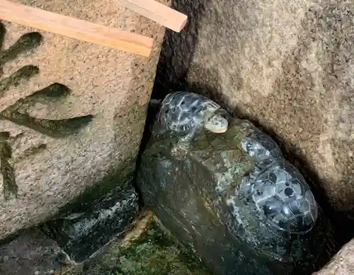 白山神社(京都府)