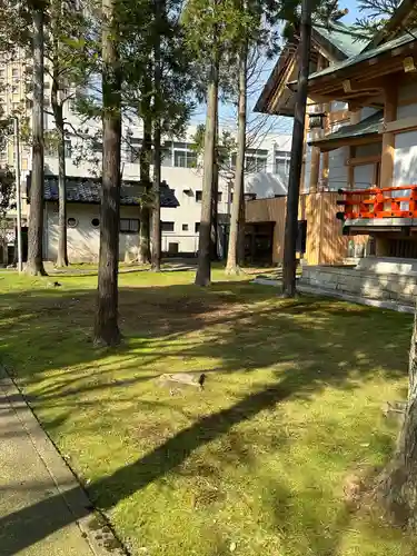 櫻谷神社(福井県)