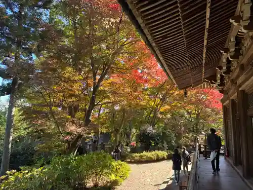 柳谷観音　楊谷寺(京都府)