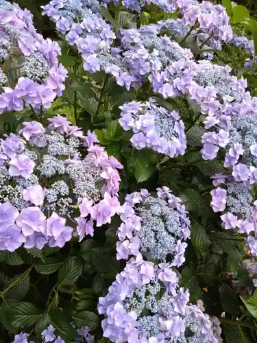 宝満宮竈門神社(福岡県)