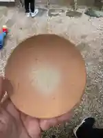 青島神社(青島神宮)(宮崎県)