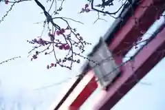 亀戸天神社の鳥居