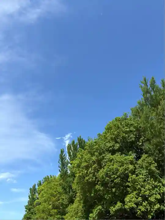 雀神社(茨城県)