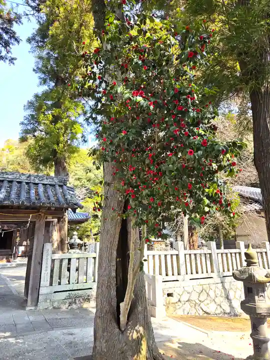 由加神社(和気由加神社)(岡山県)