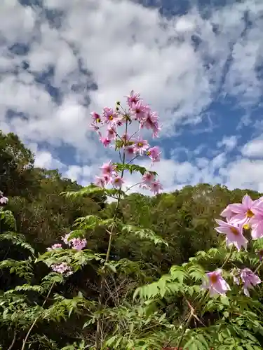 赤猪岩神社の自然