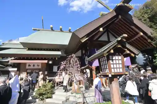 東京大神宮(東京都)