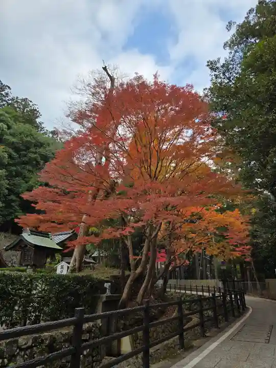 出雲大社(島根県)