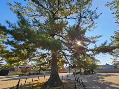 法隆寺(奈良県)