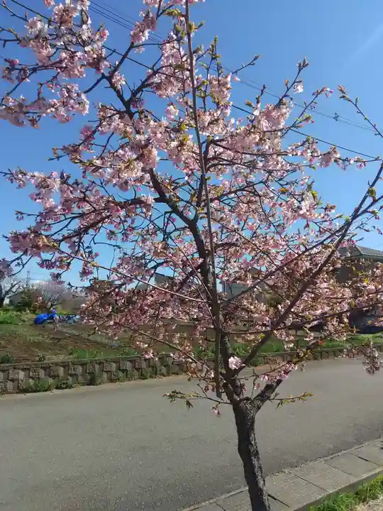 大宮住吉神社(埼玉県)