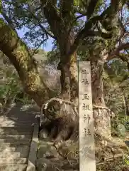 玉祖神社(大阪府)