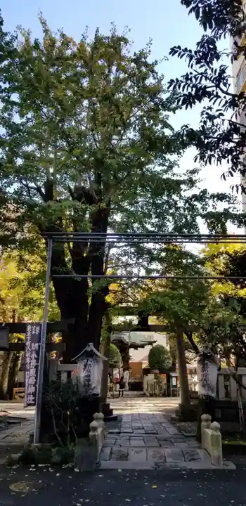 小野照崎神社の自然