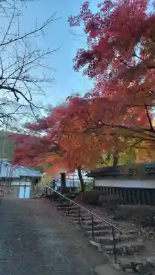 清滝寺徳源院(滋賀県)