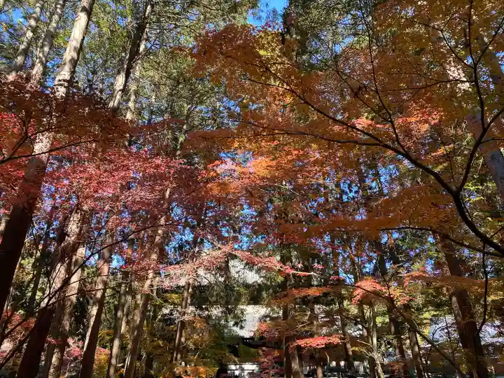 曹源寺(岡山県)
