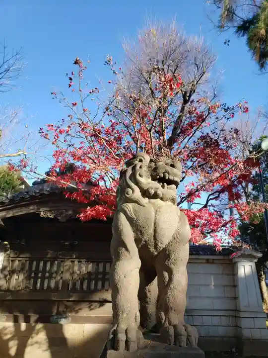 妙法寺(東京都)