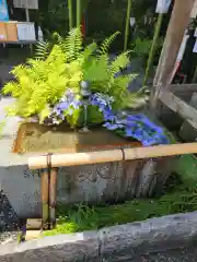 出雲大神宮の手水