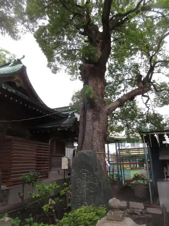 五方山熊野神社の自然