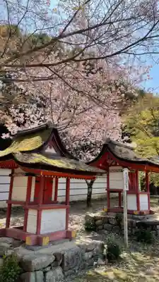 金剛寺(大阪府)