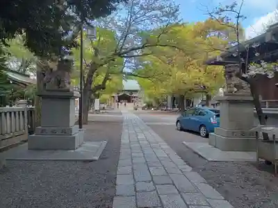 亀戸 香取神社(東京都)