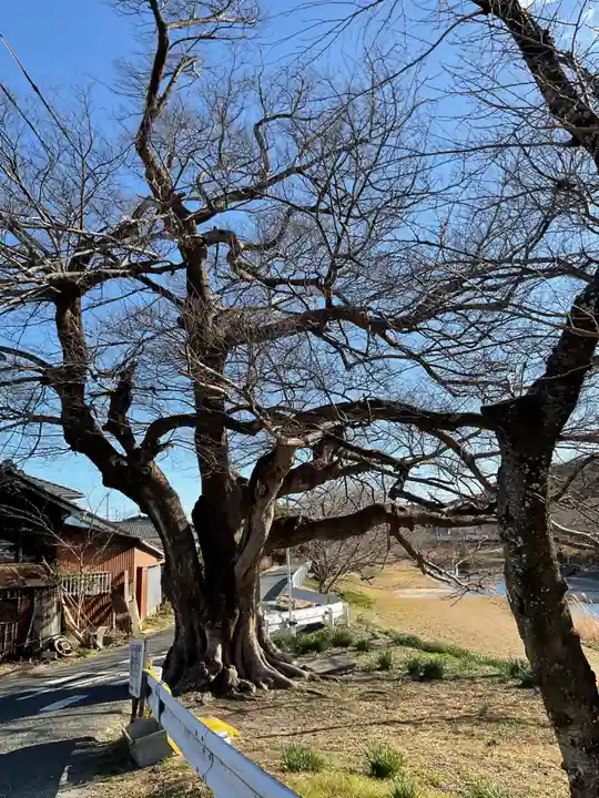 若宮八幡社(愛知県)