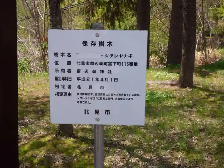 留辺蘂神社の自然