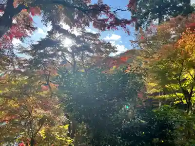 柳谷観音　楊谷寺(京都府)