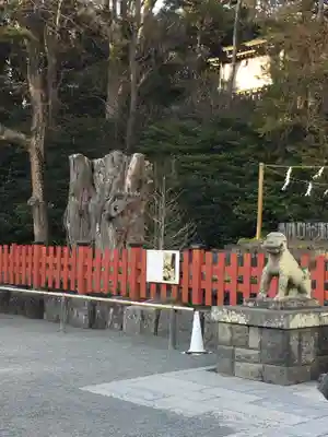 鶴岡八幡宮(神奈川県)