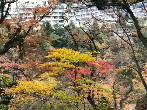 楯岩鬼怒姫神社の景色