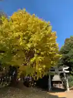 星宮神社(千葉県)