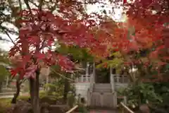 観泉寺の建物その他