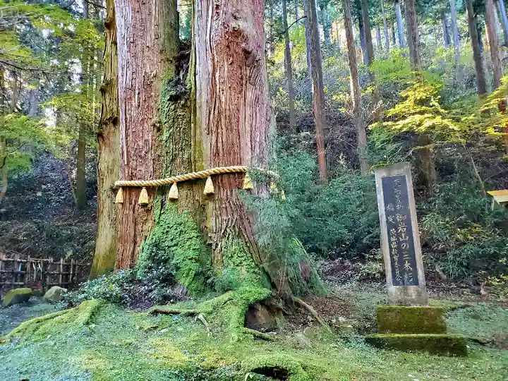 御岩神社の自然