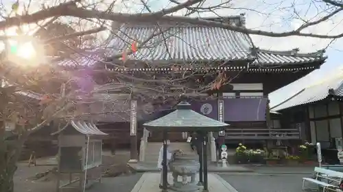 曼荼羅寺の本殿・本堂