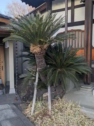 瑞松院(東京都)